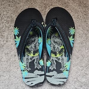 Dinosaur Print Flip Flops